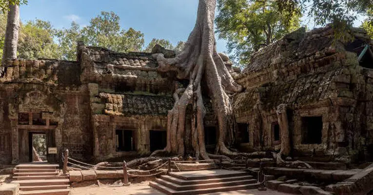 siem-reap-bayan-tree