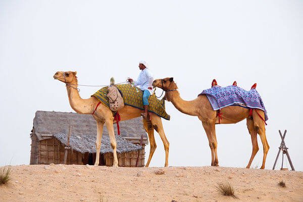 desert camping