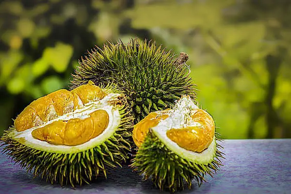 durian