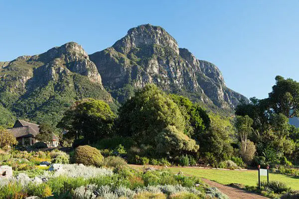 Kirstenbosch National Botanical Gardens