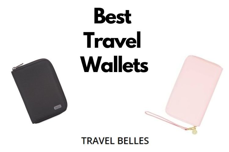 winks travel neck wallet