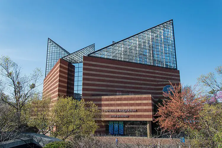 Tennessee Aquarium