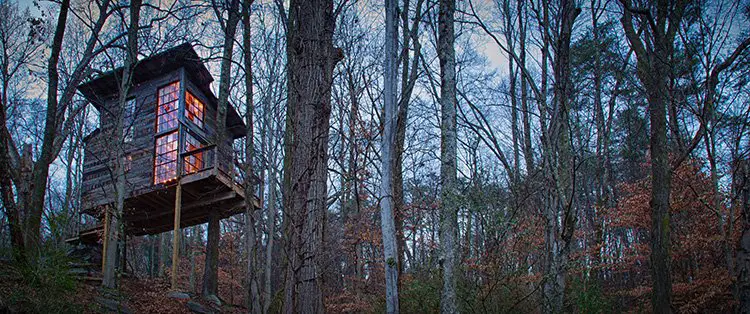 TreeTop Hideaways