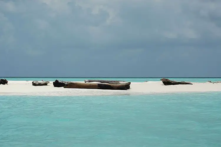 Tubbataha Reefs Natural Park (Philippines)