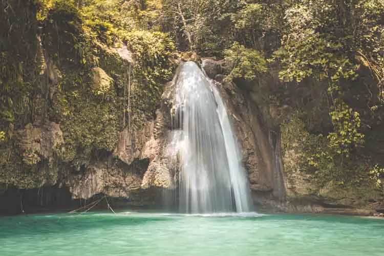 Bohol jungle, tarsier and chocolate hills, in Cebu, Philippines